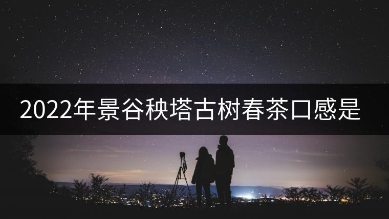 2022年景谷秧塔古樹春茶口感是什么？