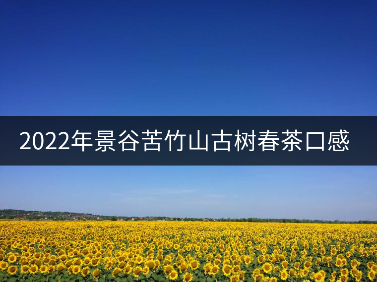 2022年景谷苦竹山古樹春茶口感？