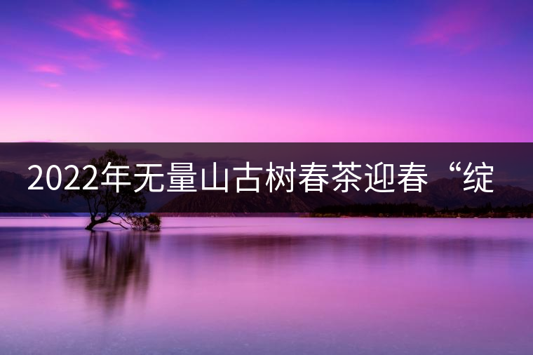 2022年無(wú)量山古樹春茶迎春“綻放”！