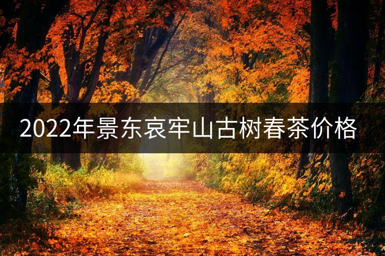 2022年景東哀牢山古樹春茶價格多少？