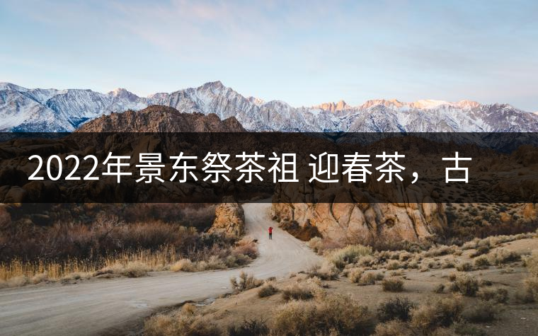 2022年景東祭茶祖 迎春茶，古樹春茶多少錢一公斤？