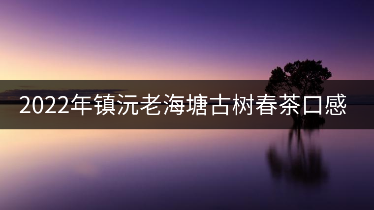 2022年鎮(zhèn)沅老海塘古樹春茶口感？