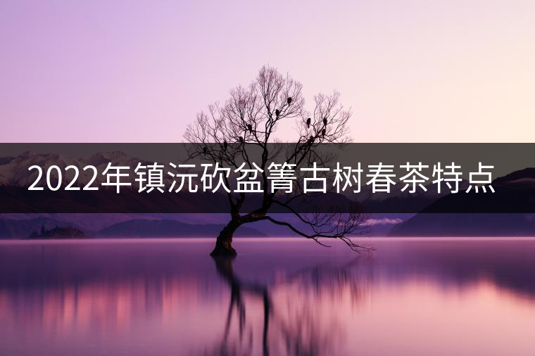 2022年鎮(zhèn)沅砍盆箐古樹春茶特點(diǎn)？