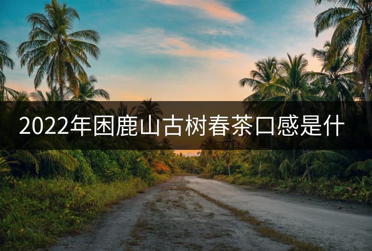 2022年困鹿山古樹春茶口感是什么？