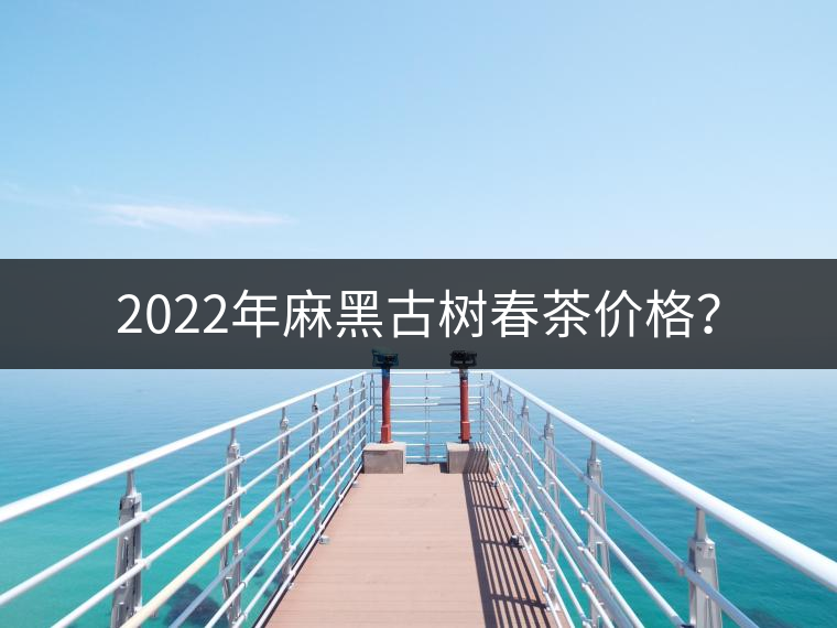 2022年麻黑古樹春茶價格？