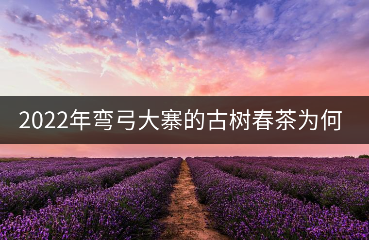 2022年彎弓大寨的古樹春茶為何如此之珍貴？