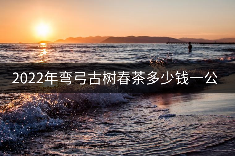 2022年彎弓古樹春茶多少錢一公斤？