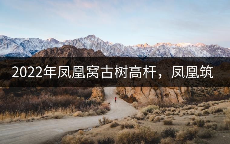 2022年鳳凰窩古樹(shù)高桿，鳳凰筑巢的地方