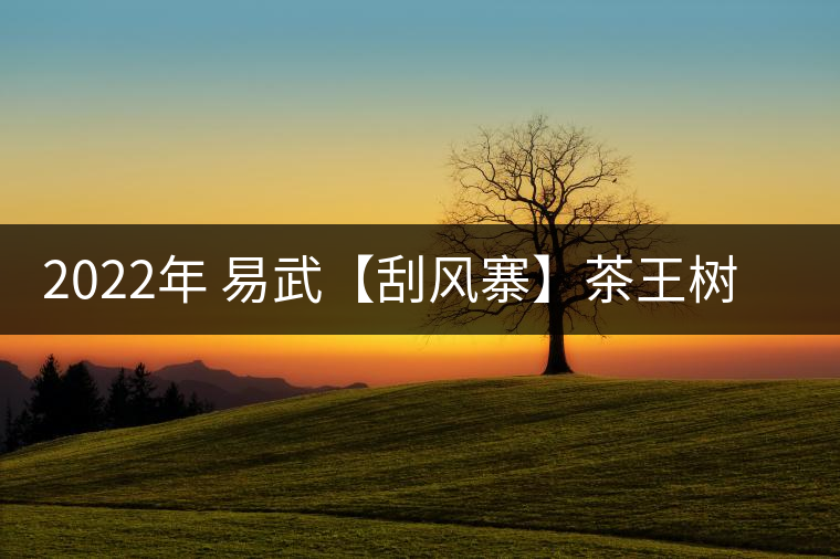 2022年 易武【刮風(fēng)寨】茶王樹——山野林韻之標(biāo)桿 2022年 易武【刮風(fēng)寨】茶王樹——山野林韻之標(biāo)桿