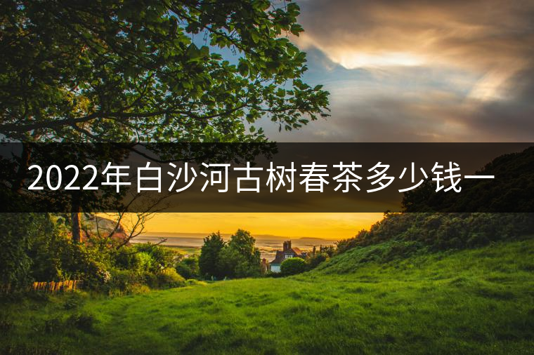 2022年白沙河古樹春茶多少錢一公斤？