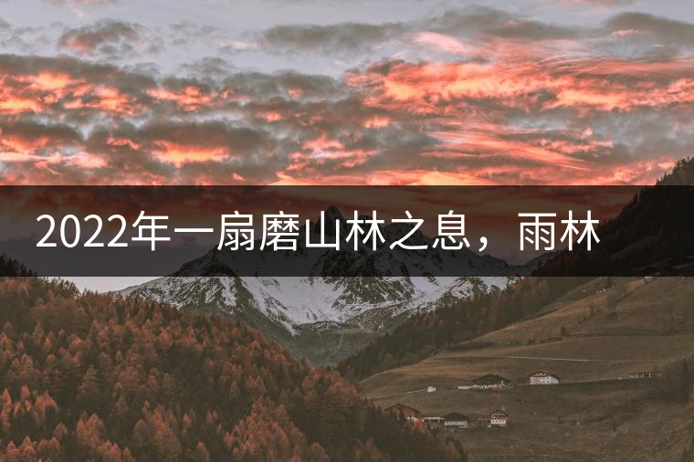2022年一扇磨山林之息，雨林之味，原始之態(tài)