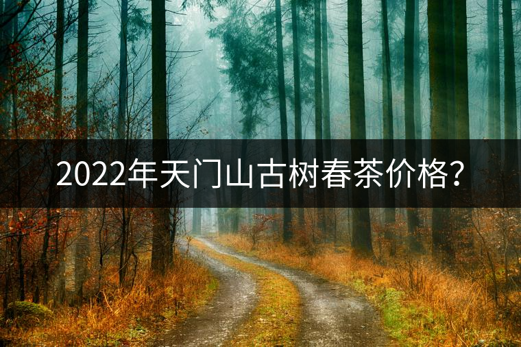 2022年天門山古樹春茶價格？