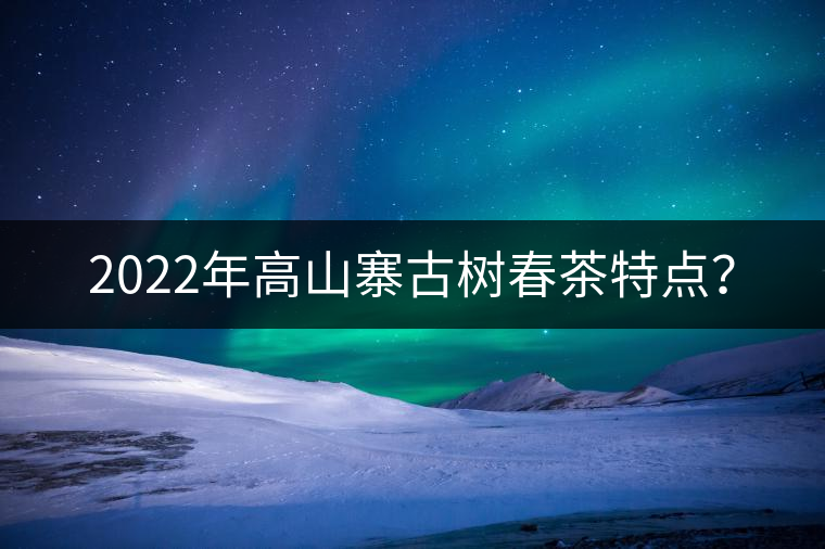 2022年高山寨古樹春茶特點(diǎn)？