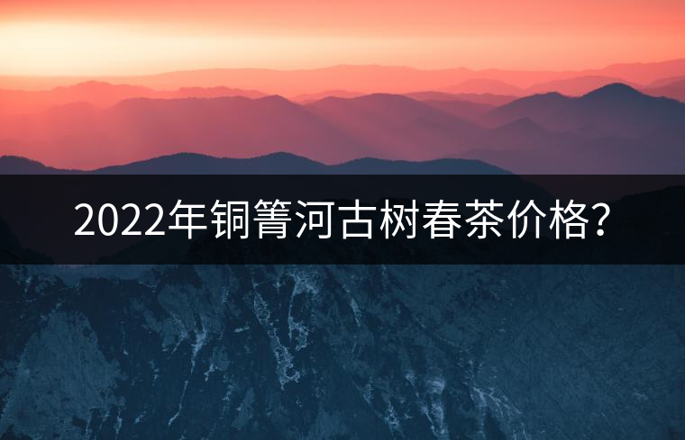 2022年銅箐河古樹春茶價(jià)格？