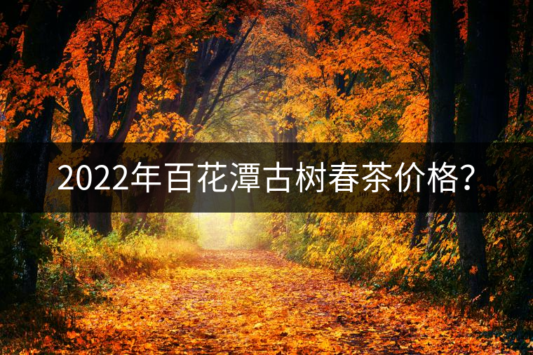 2022年百花潭古樹(shù)春茶價(jià)格？