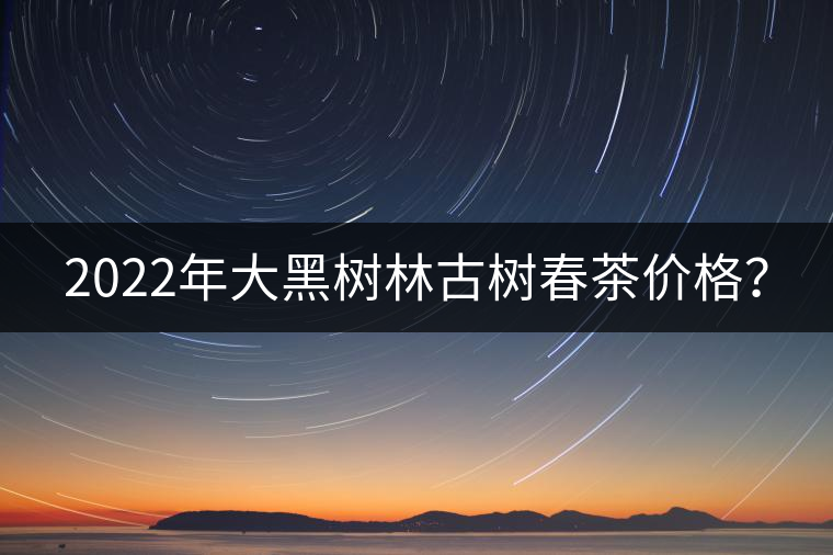 2022年大黑樹林古樹春茶價格？