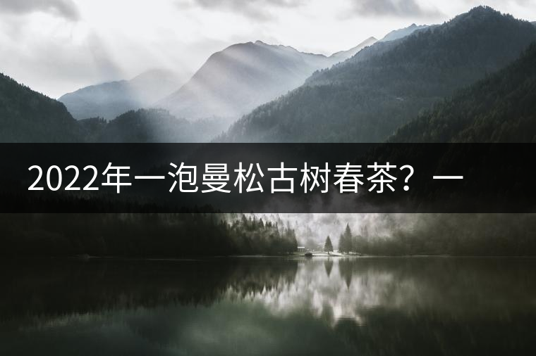 2022年一泡曼松古樹春茶？一飲帝王味……