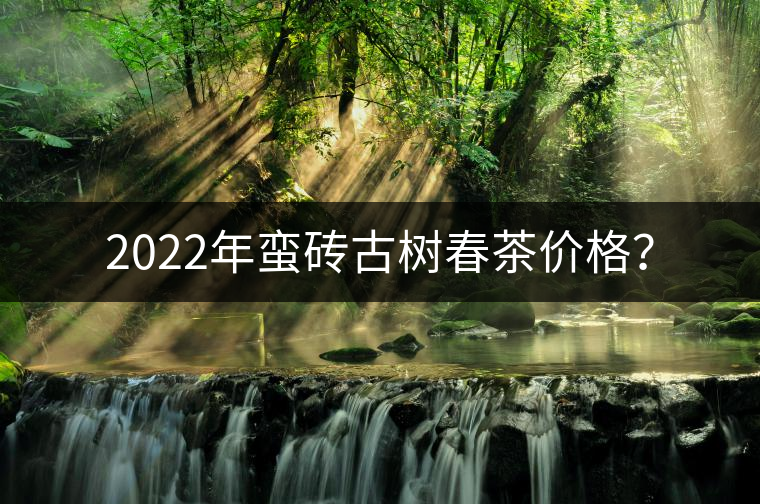2022年蠻磚古樹(shù)春茶價(jià)格? 2022年蠻磚古樹(shù)春茶價(jià)格?
