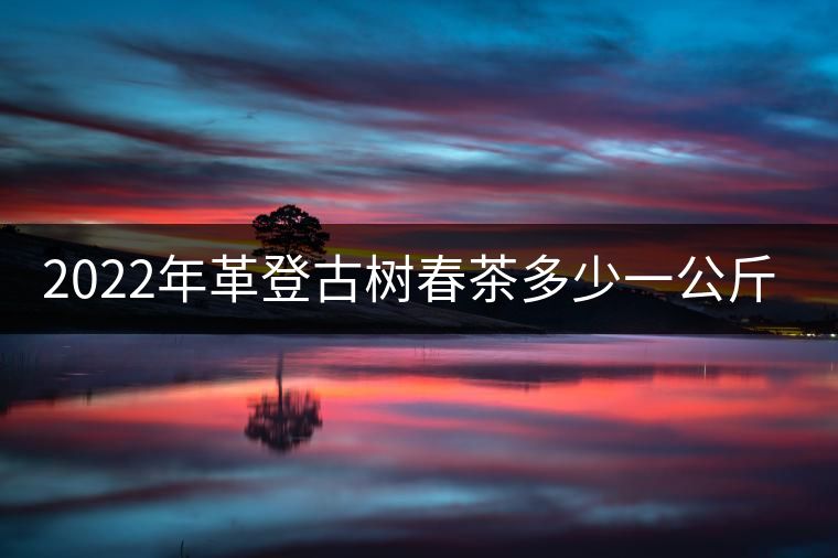 2022年革登古樹春茶多少一公斤？