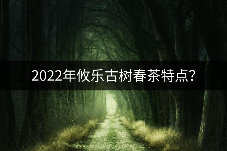 2022年攸樂(lè)古樹(shù)春茶特點(diǎn)？