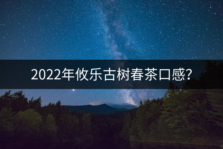 2022年攸樂古樹春茶口感？