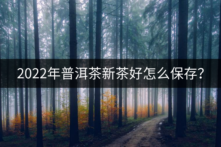 2022年普洱茶新茶好怎么保存？