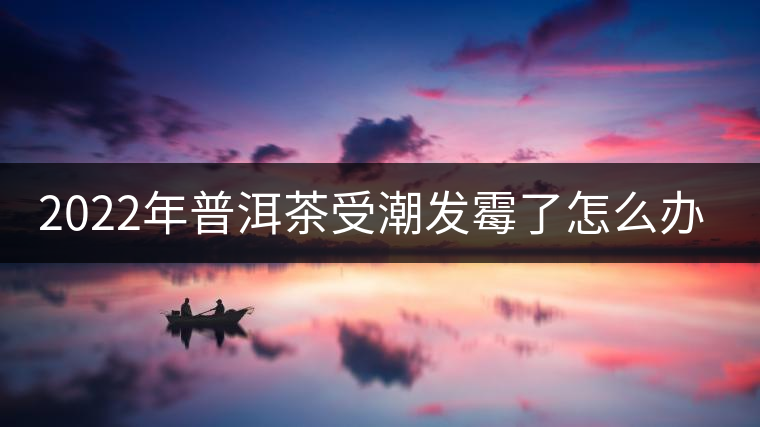 2022年普洱茶受潮發(fā)霉了怎么辦？