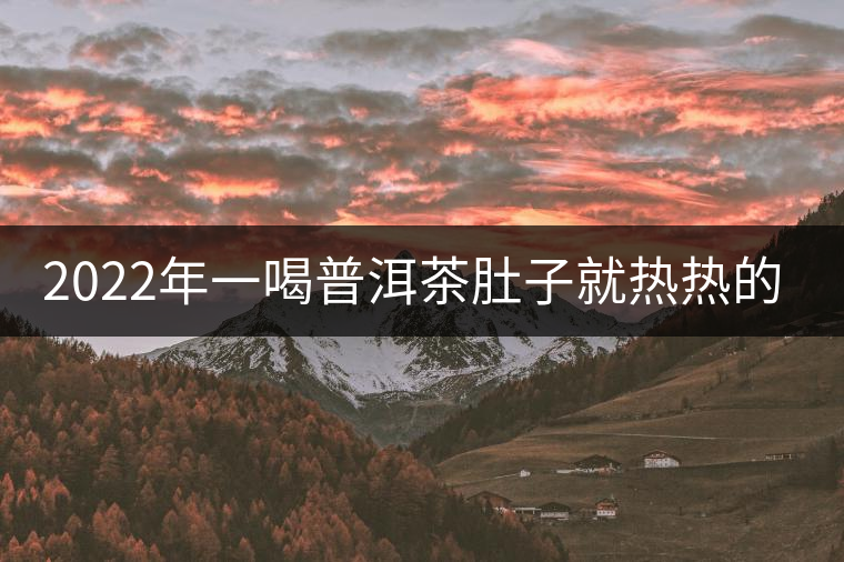 2022年一喝普洱茶肚子就熱熱的怎么回事？