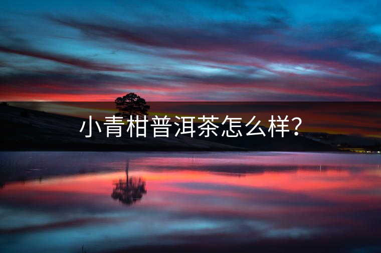 小青柑普洱茶怎么樣？