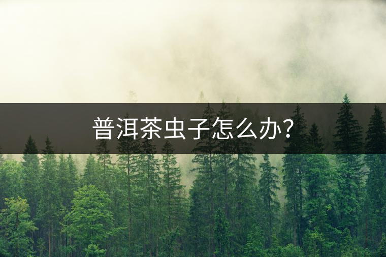 普洱茶蟲(chóng)子怎么辦？