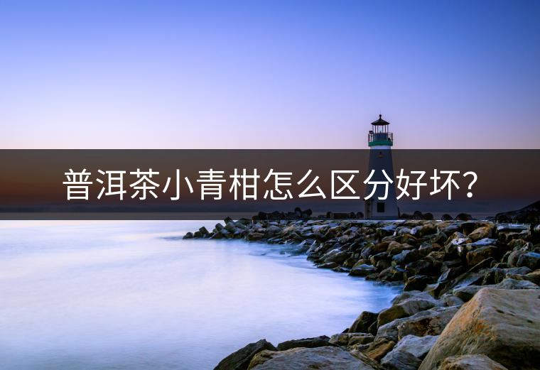 普洱茶小青柑怎么區(qū)分好壞？