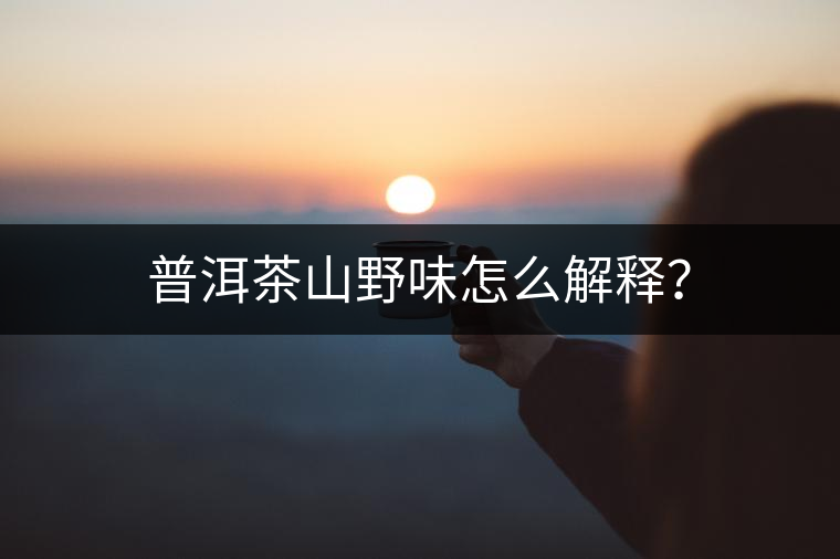 普洱茶山野味怎么解釋？