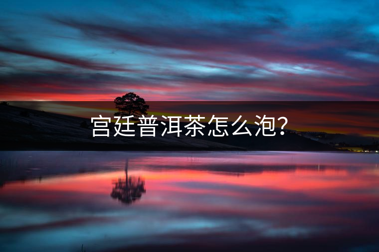 宮廷普洱茶怎么泡？