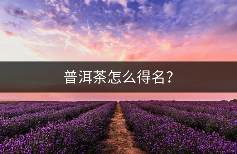 普洱茶怎么得名？
