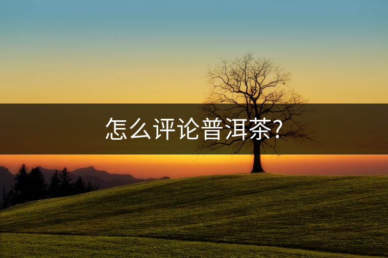 怎么評論普洱茶?