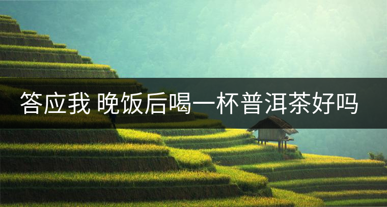 答應我 晚飯后喝一杯普洱茶好嗎？