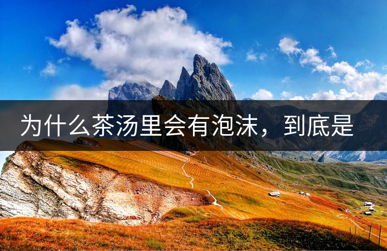 為什么茶湯里會有泡沫，到底是怎么回事？