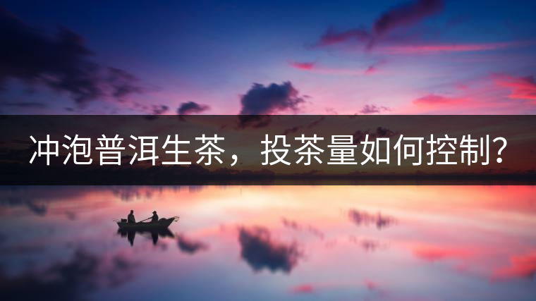 沖泡普洱生茶，投茶量如何控制？