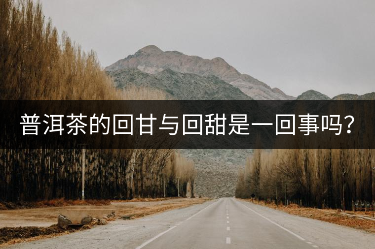 普洱茶的回甘與回甜是一回事嗎？？