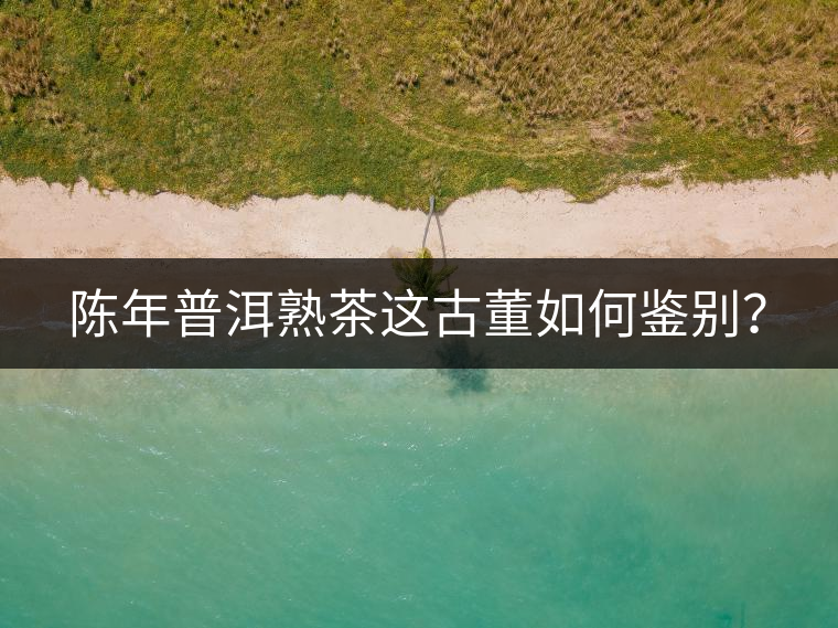 陳年普洱熟茶這古董如何鑒別？