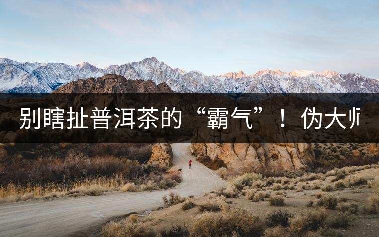 別瞎扯普洱茶的“霸氣”！偽大師！
