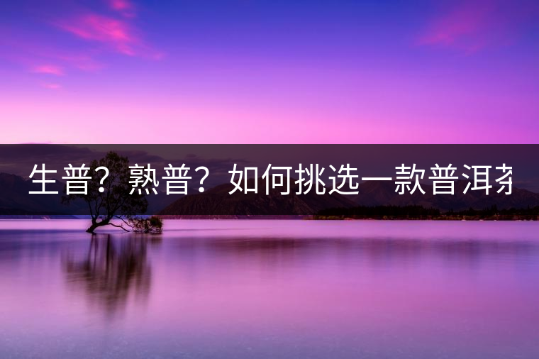 生普？熟普？如何挑選一款普洱茶？