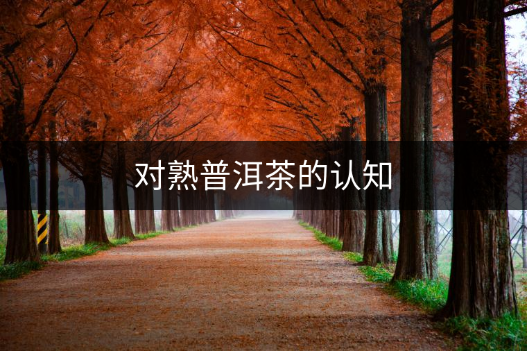對熟普洱茶的認(rèn)知