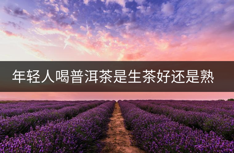 年輕人喝普洱茶是生茶好還是熟茶好？該怎么選擇？