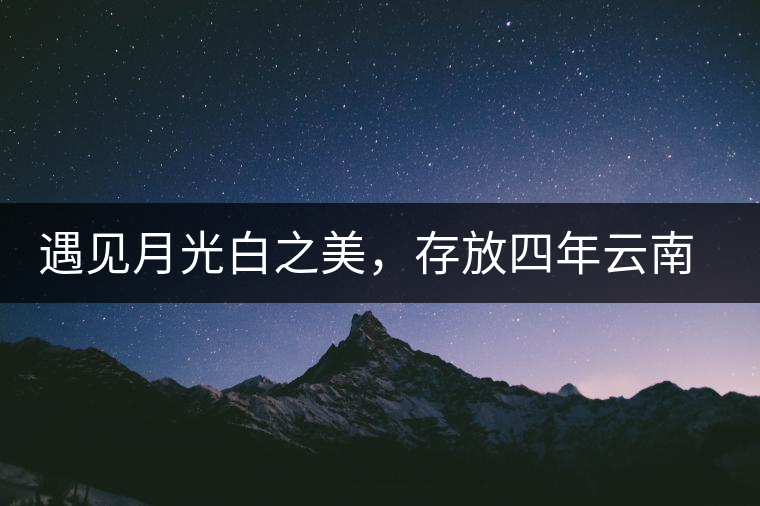 遇見(jiàn)月光白之美，存放四年云南古樹(shù)白茶