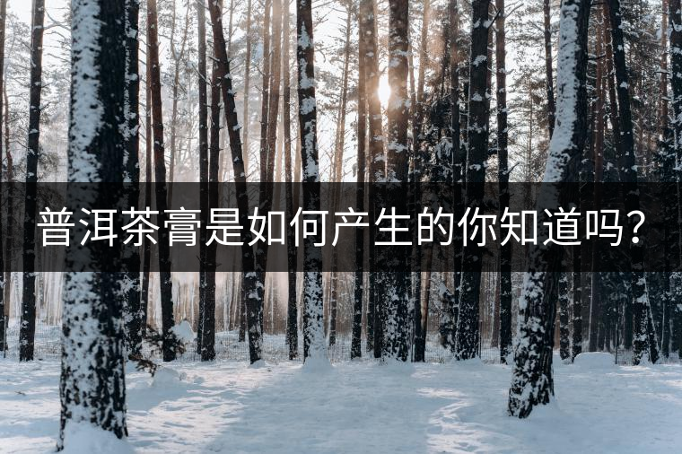 普洱茶膏是如何產(chǎn)生的你知道嗎？