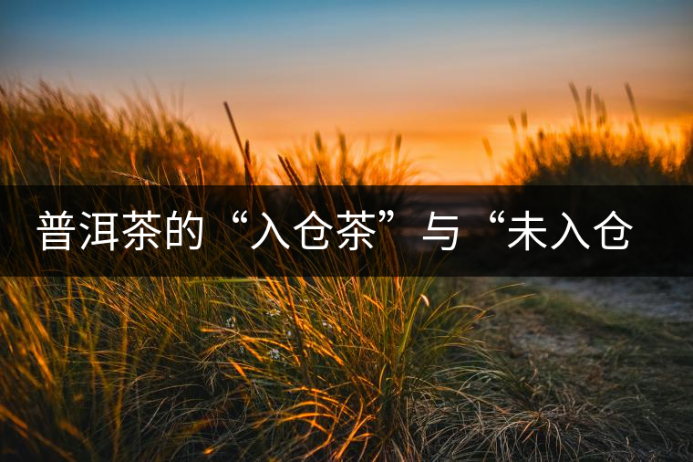 普洱茶的“入倉茶”與“未入倉茶”如何區(qū)分，你造嗎？