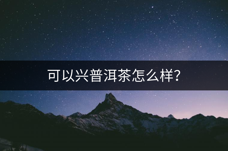 可以興普洱茶怎么樣？