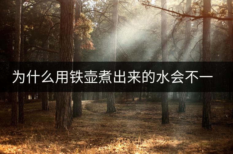 為什么用鐵壺煮出來(lái)的水會(huì)不一樣？泡茶更好喝？