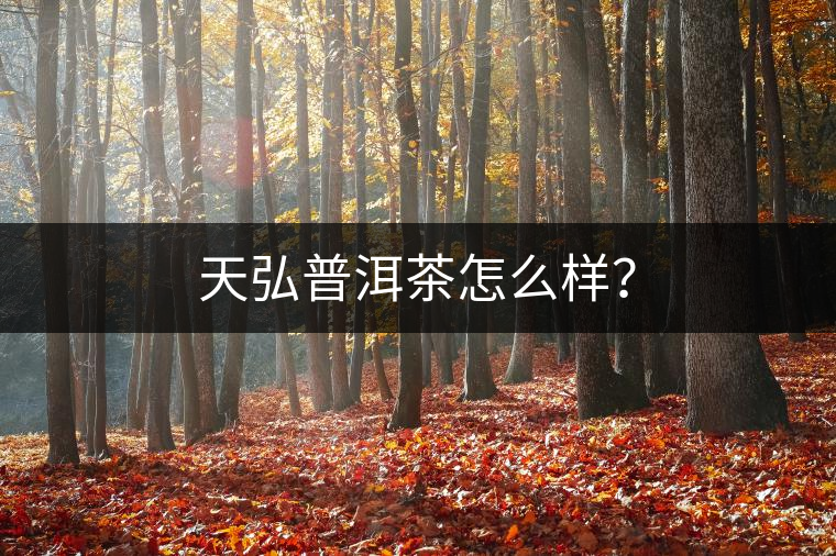 天弘普洱茶怎么樣？